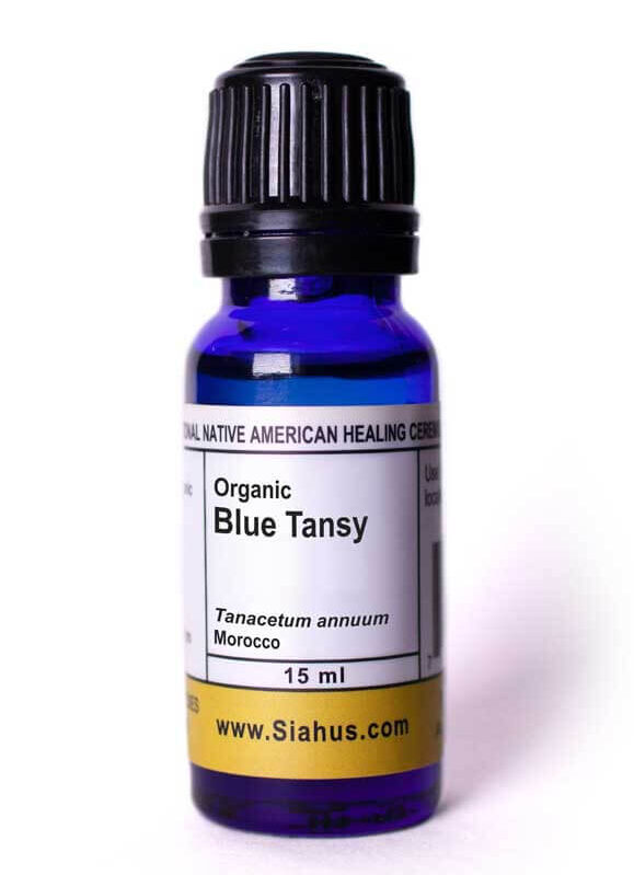 Blue Tansy