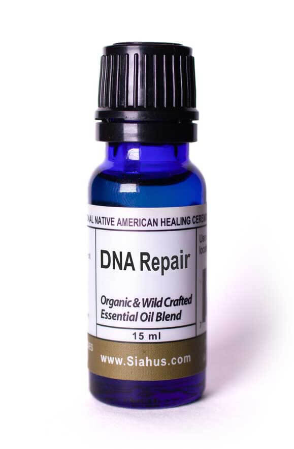 DNA Repair